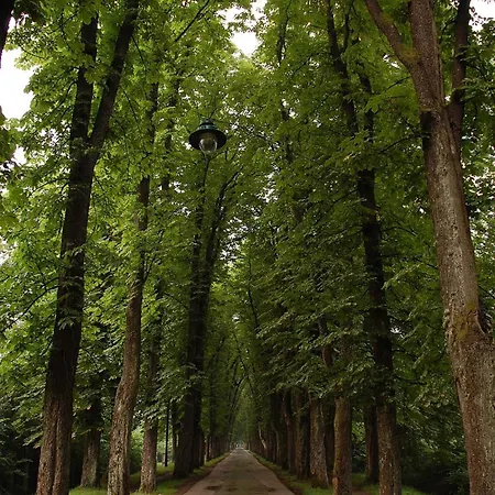 Velika Aleja Ilidza * Sarajevo