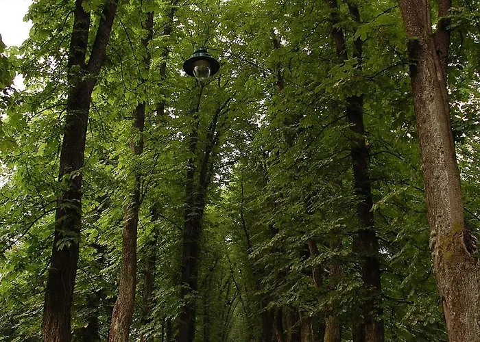 Velika Aleja Ilidza * סראייבו